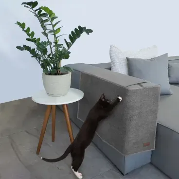 Gato arranhando o Arranhador para Sofa